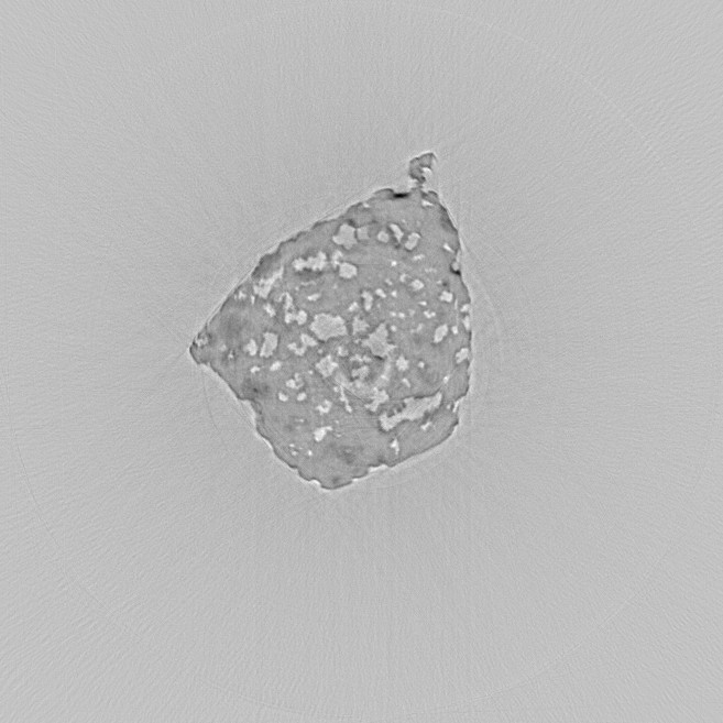 carbonado_a_slice369.jpg (82979 bytes)