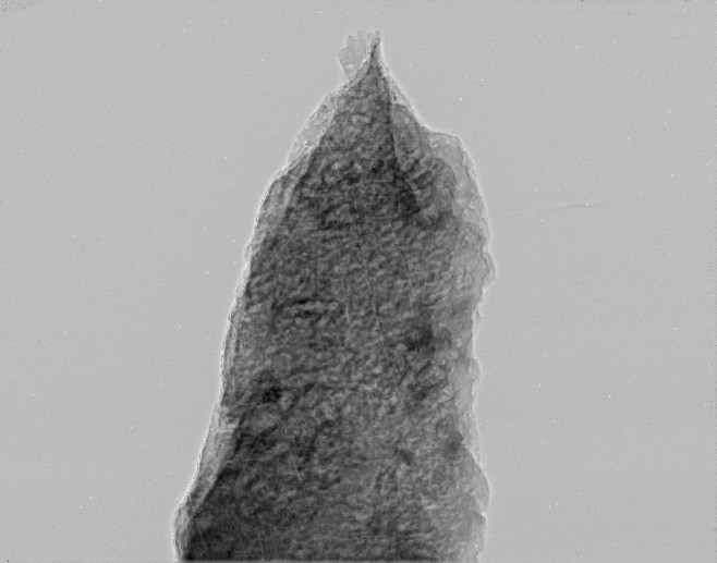 carbonado_a_view90.jpg (55438 bytes)