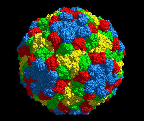 bioprotein.JPG (94836 bytes)