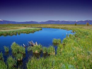Marsh with mountains
